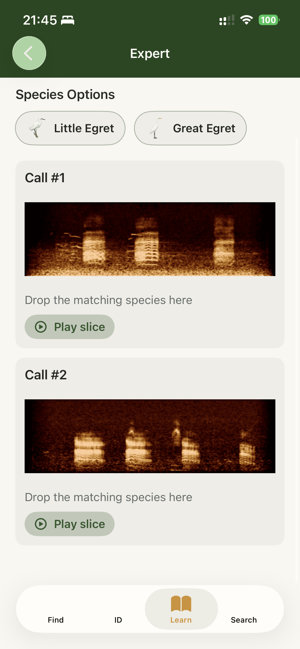 Expert call quiz example 1