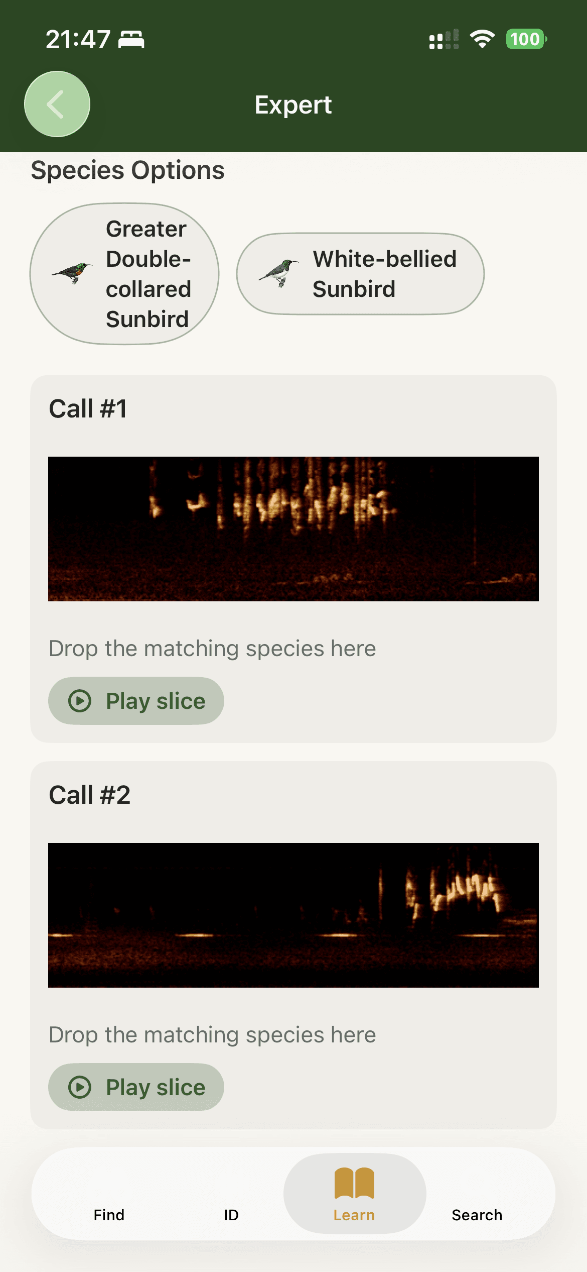 Expert call quiz example 2